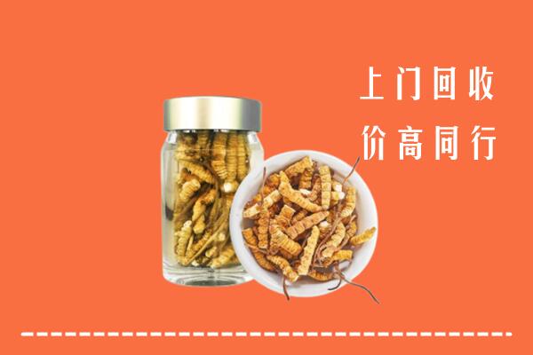 西吉县回收冬虫夏草